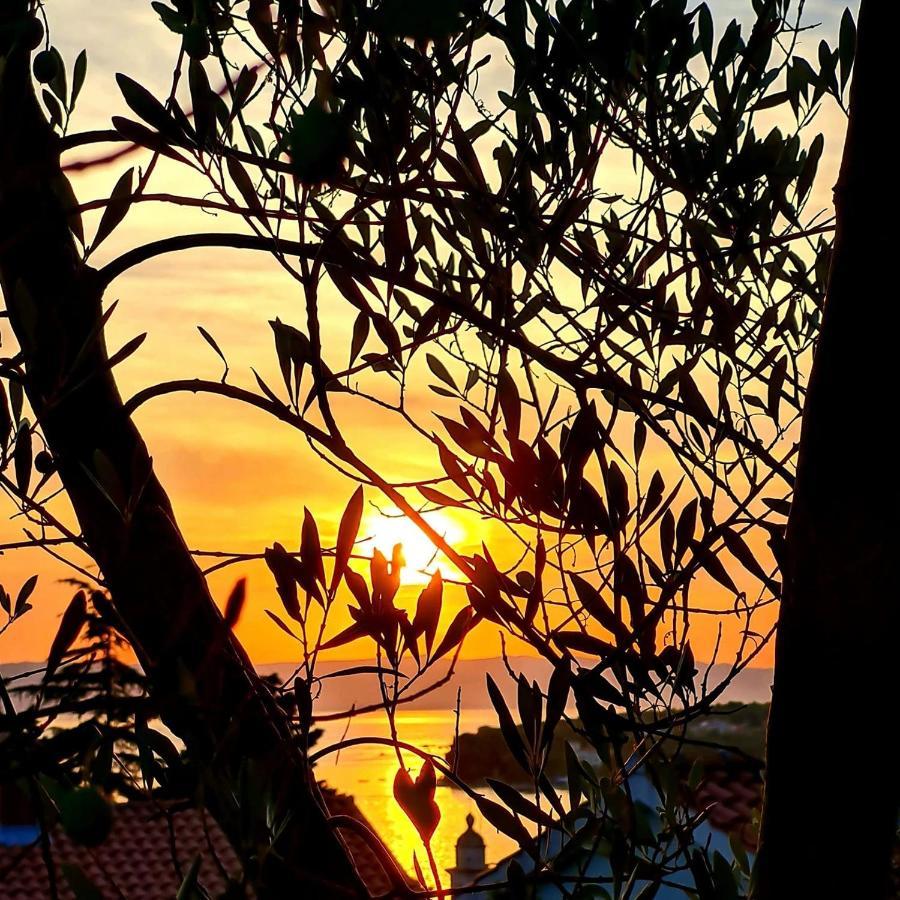 Apartment Rajci Cres Dış mekan fotoğraf